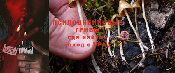 ГАЛЛЮЦИНОГЕННЫЕ ГРИБЫ Рославль