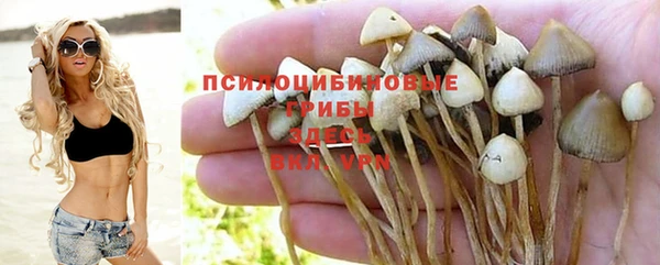 ГАЛЛЮЦИНОГЕННЫЕ ГРИБЫ Рославль